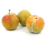 Prune Reine Claude Bio, Sachet de 10 fruits