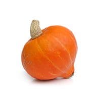 Fermes Debout  Courge Potimarron Locale