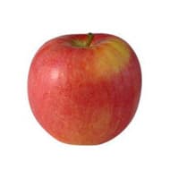Pomme Royal Gala