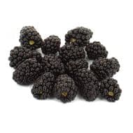 Fruits Rouges & Co Mûre, Barquette de 125g