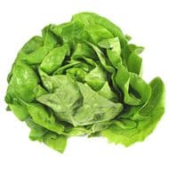 Laitue, 1 Pièce