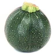 Courgette ronde