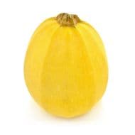 Courge Spaghetti, 1 pièce