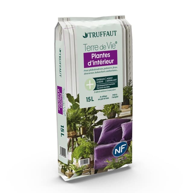 Truffaut Plante Interieur