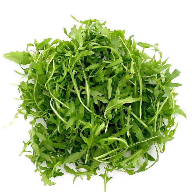  - PicVert - Salade Roquette 