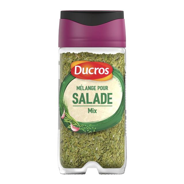 3166291501002 - Ducros - Mélange malin pour salade