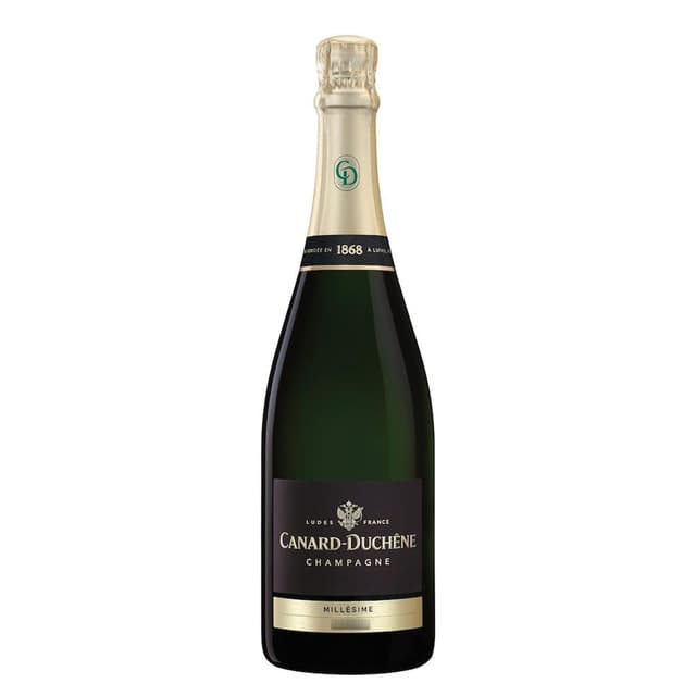 3113934001603 - Canard Duchêne - Champagne brut millésimé AOP
