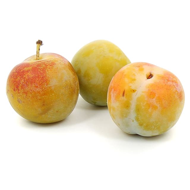2050000424403 -  - Prune Reine Claude Bio