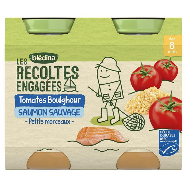 3041091903204 - Blédina - Les Récoltes Engagées - Tomate Boulgour Saumon Sauvage MSC Pot Bébé Dès 8 mois