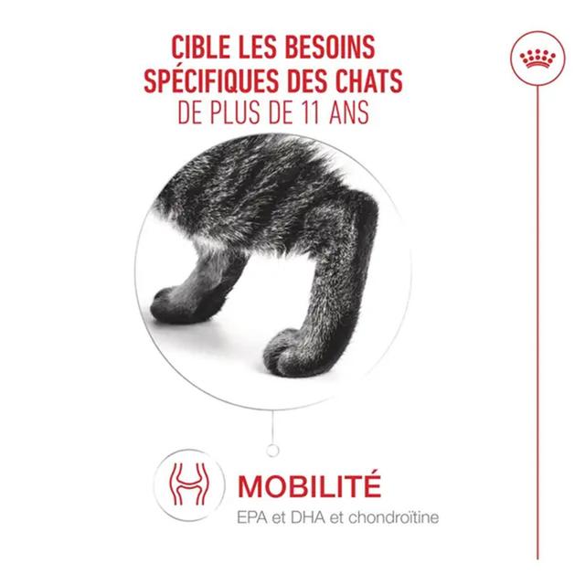 3182551066005 - Royal Canin - Croquettes Ageing +11 pour Chat Senior