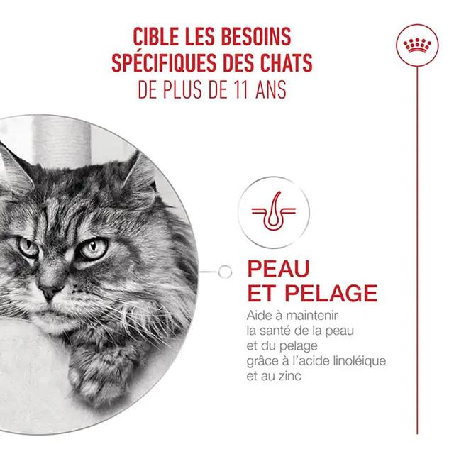 3182551066005 - Royal Canin - Croquettes Ageing +11 pour Chat Senior