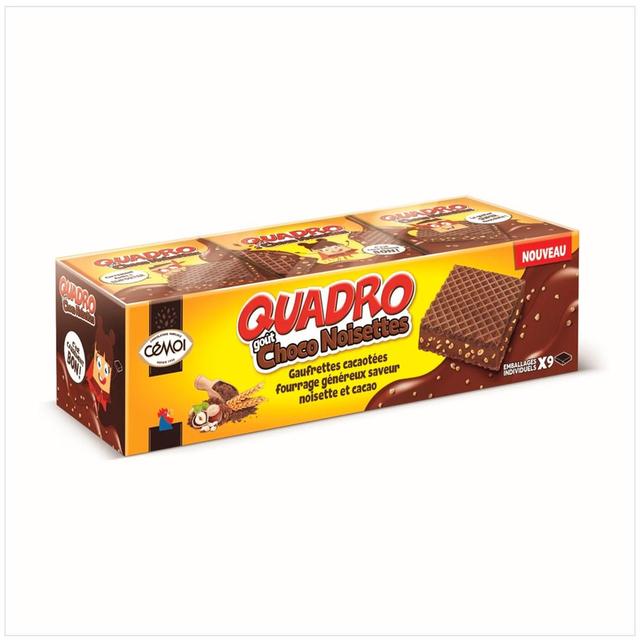 3173289106606 - Quadro - Gaufrette tout chocolat x9
