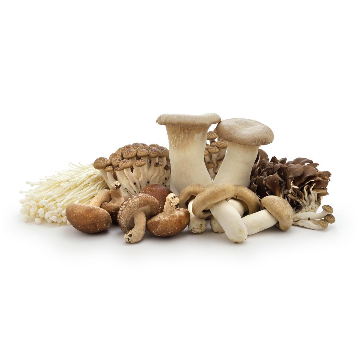 3770009529006 -  - Champignons Mélange Gourmands