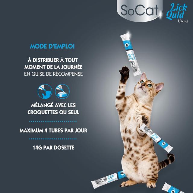 3166780061307 - Riga Socat - Snack Liquid Thon - Friandise pour chat