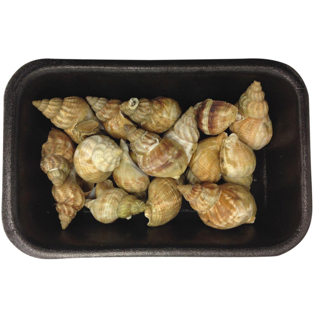 3760123022507 -  - Bulots cuits
