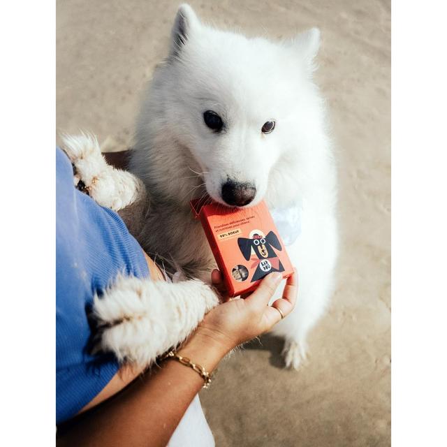 3760407550108 - Delamour - Friandise Pépites Boeuf Framboise - Récompense pour chien