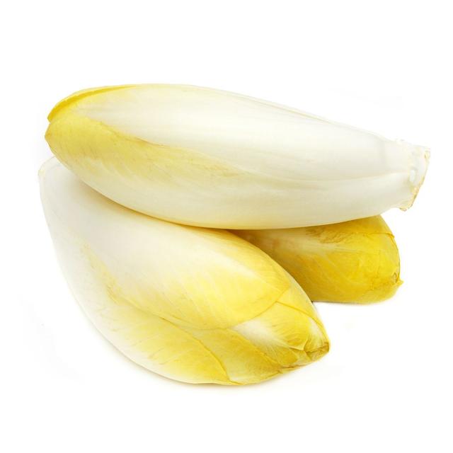 2050000391910 - Prince de Bretagne - Endive