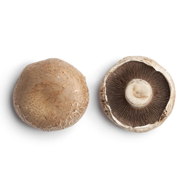 3700552800109 -  - Champignon Portobello