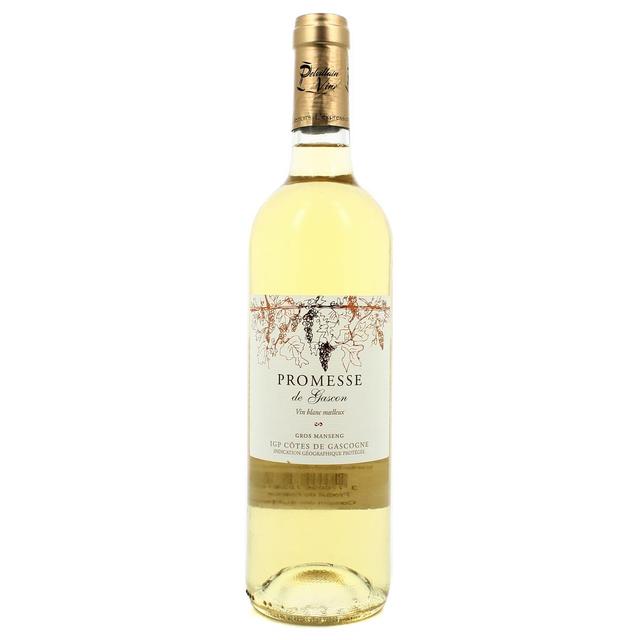 3770006752810 - Côtes de Gascogne blanc IGP - Promesse de gascon