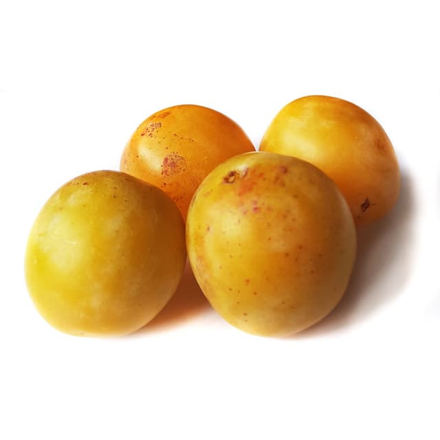 2050000424410 -  - Prune Mirabelle Bio