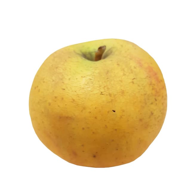 2050000390111 - Mouneyrac - Pomme Chanteclerc