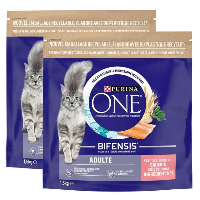 2050000420412 - Purina - One - Croquettes Saumon pour chat adulte