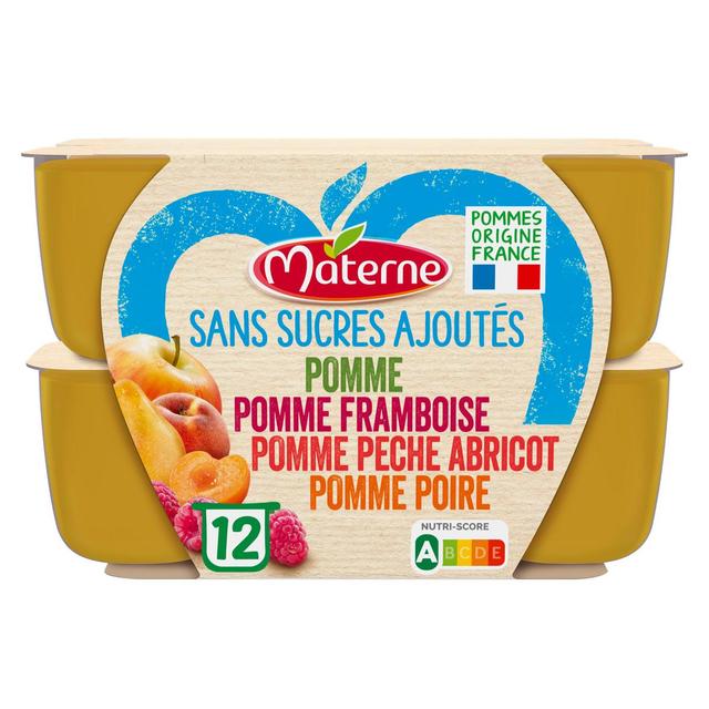 3021760291412 - Materne - Compote Multivariété sans sucres ajoutés