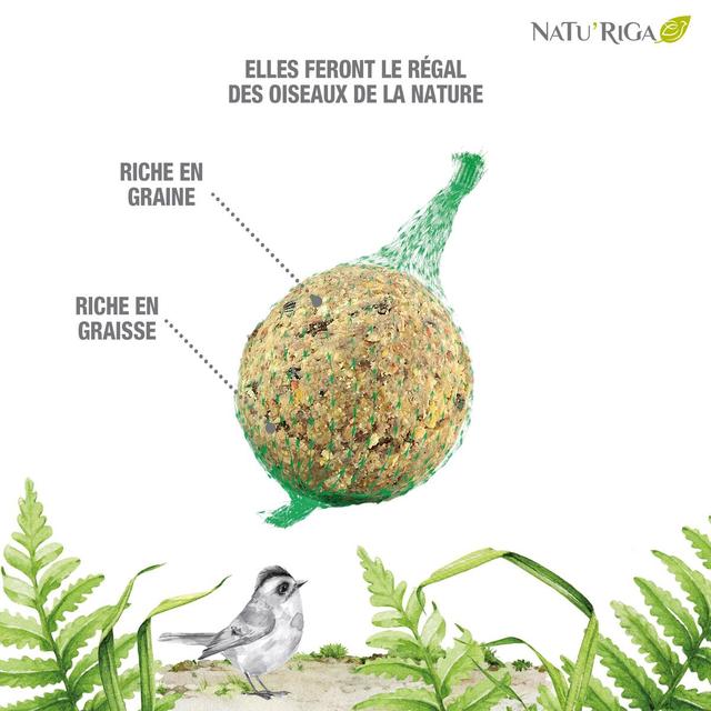 3166780502114 - Riga Natu'Riga - Boules de graisse et graines 10x90g