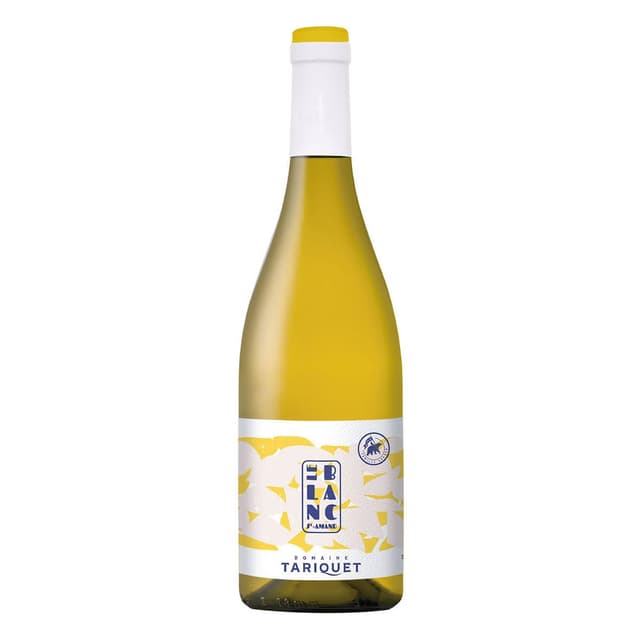 3359880750015 - Côtes de Gascogne blanc IGP - St-AMAND Le blanc 