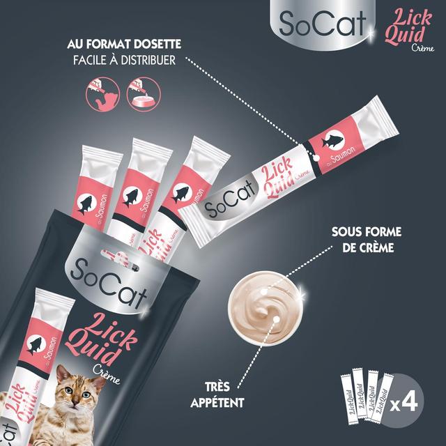 3166780064216 - Riga Socat - Snack Liquid Saumon - Friandise pour chat