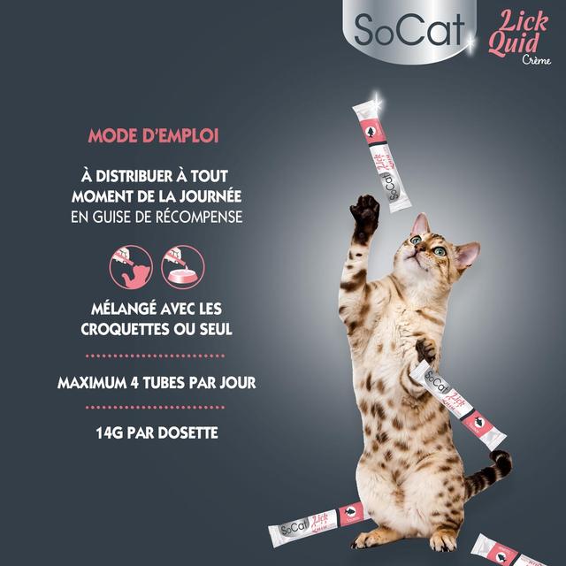 3166780064216 - Riga Socat - Snack Liquid Saumon - Friandise pour chat