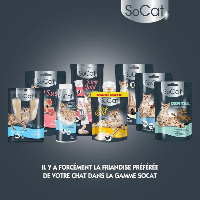 3166780064216 - Riga Socat - Snack Liquid Saumon - Friandise pour chat