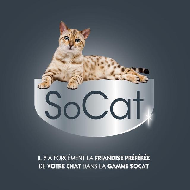3166780064216 - Riga Socat - Snack Liquid Saumon - Friandise pour chat