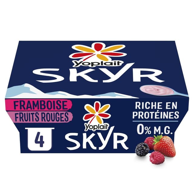 3329770087316 - Yoplait - Skyr fruits rouges