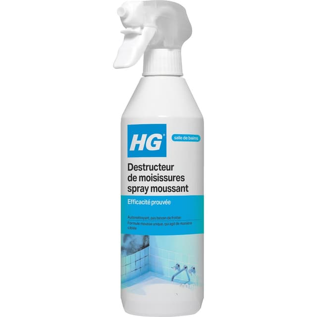 8711577216917 - HG - Nettoyant Ménager Destructeur De Moisissures 
