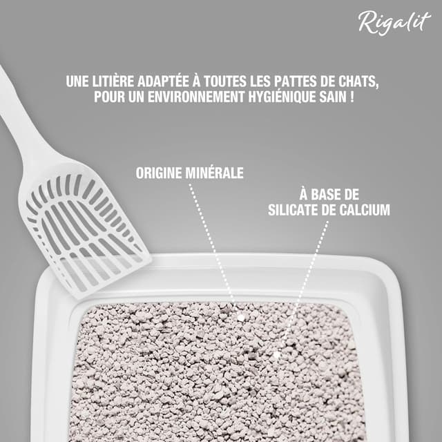 3166780060218 - Riga Rigalit - Litière calcium Odor Control