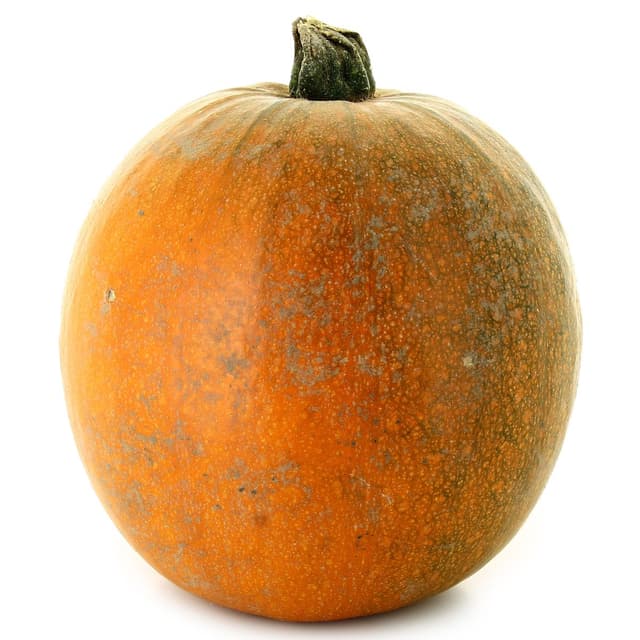2050000316418 -  - Jack O Lantern Courge Non comestible 