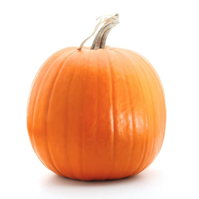 2050000316418 -  - Jack O Lantern Courge Non comestible 