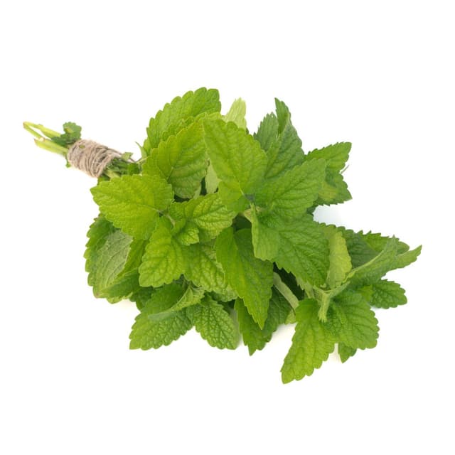 2050000396618 -  - Menthe poivrée 