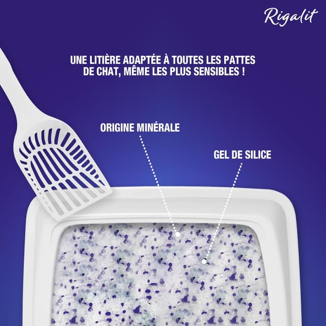 3166780054019 - Riga Rigalit - Litière silice senteur lavande