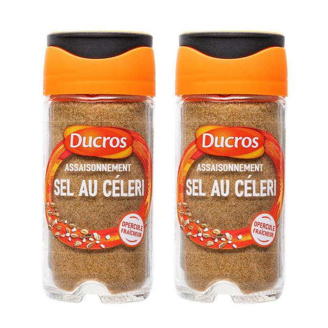 2050000114519 - Ducros - Sel au céleri