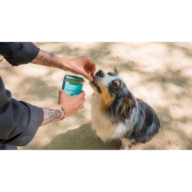 3760407550122 - Delamour - Friandise Pépites Canard Abricot- Récompense pour chien