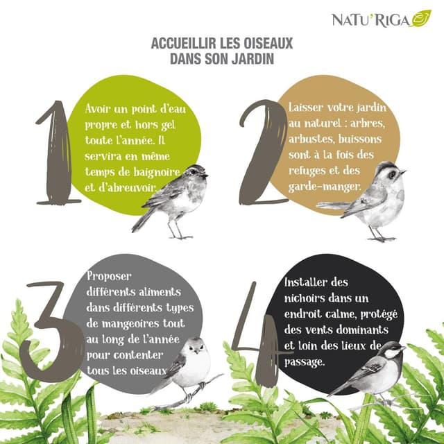 3166780023824 - Riga - Arachides décortiquées pour oiseaux de la nature