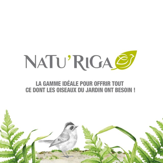 3166780023824 - Riga - Arachides décortiquées pour oiseaux de la nature