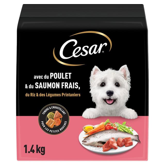 5900951353925 - César - Croquettes au poulet saumon riz et légumes pour petit chien adulte