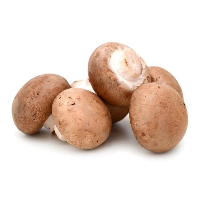 3760074478828 - Les Paysans Bio - Champignon Blond Bio