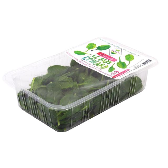 3760114461629 - Pic Vert - Épinard Jeune Pousse