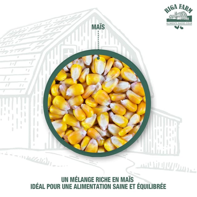 3166780023930 - Riga Farm - Maïs pour poules