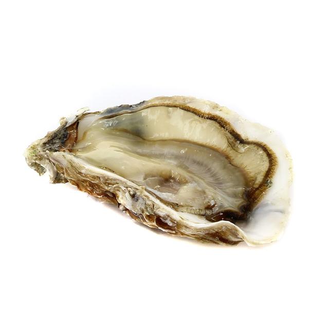 3000115126531 - Lamaison - Huîtres n° 2 Fines de Claire Marennes Oléron IGP