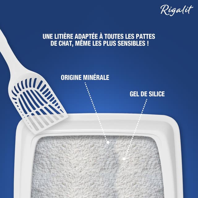 3166780048032 - Riga Rigalit - Litière Silice Agglomérante Fine pour chat 1,6kg